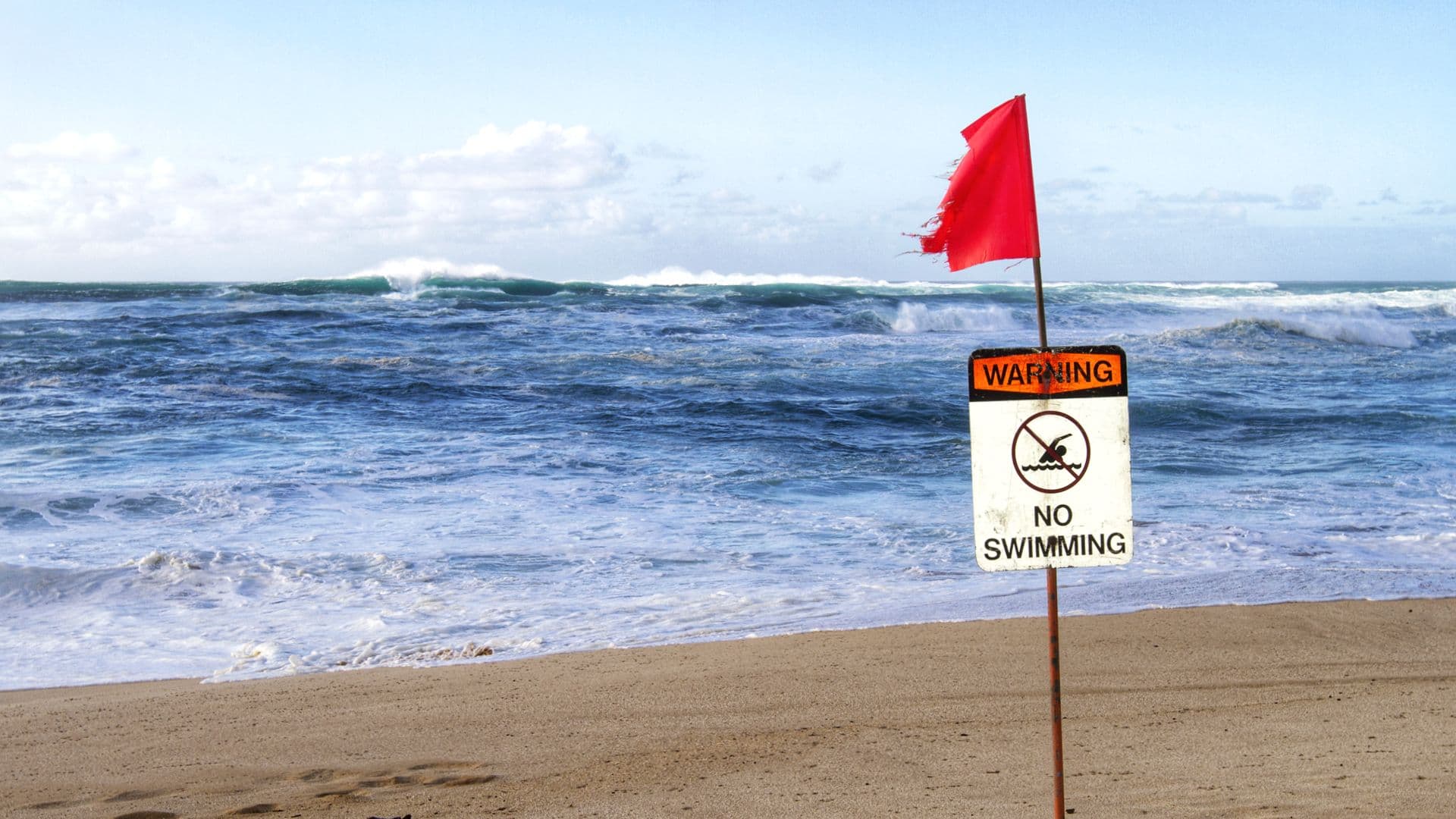 Hawaii Visitors Are Swimming In Contaminated Water Right Now - Beat of Hawaii