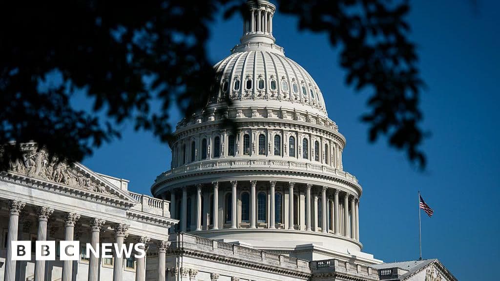 'Stupid on stilts' - Trump's investigation compensation fund draws ire of Republicans - BBC