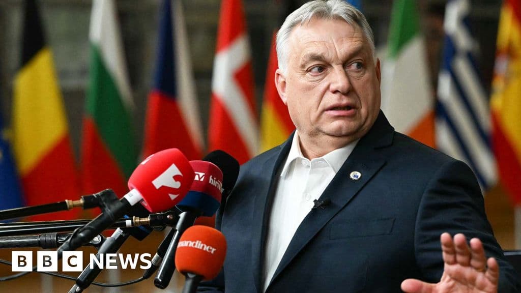 Hungary's Orbán accused of disloyalty and blackmail over Ukraine loan veto - BBC