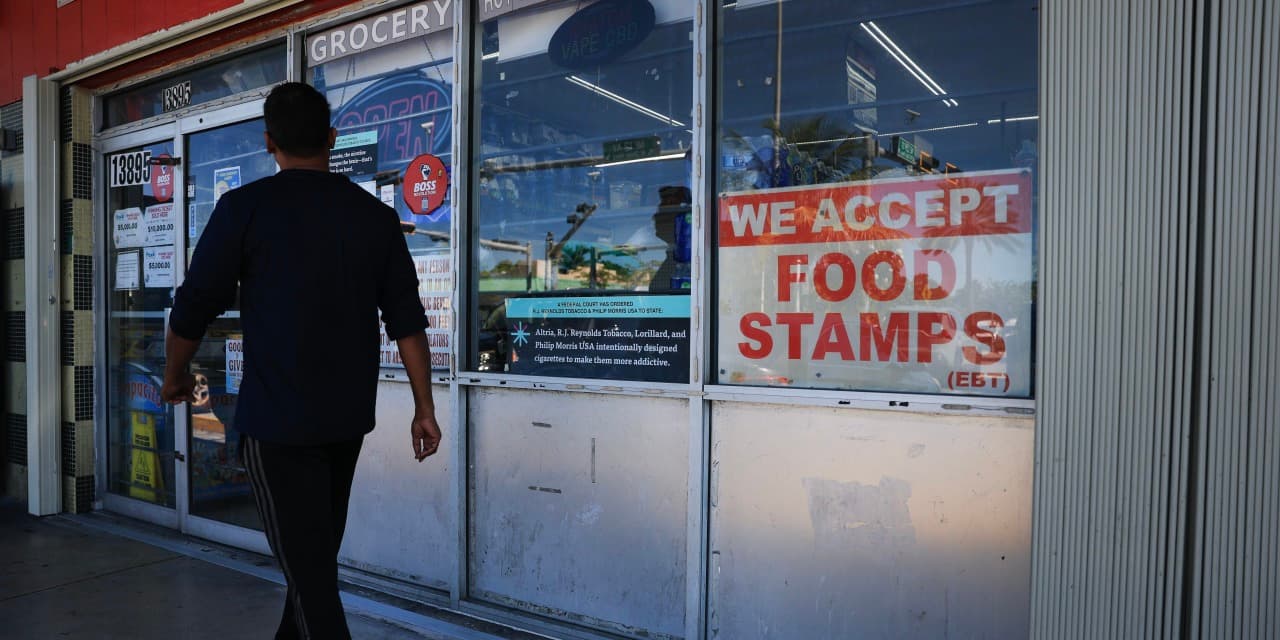 More Than Three Million People Have Lost Federal Food Aid - WSJ