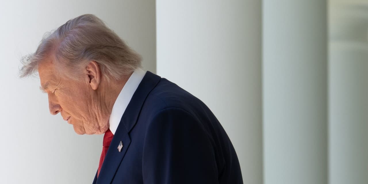 Iran Cease-Fire Is on ‘Massive Life Support,’ Trump Says - WSJ