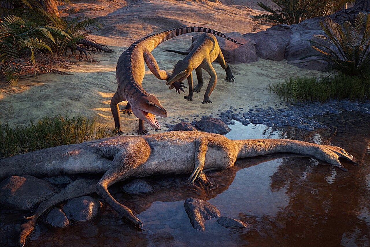Locked in stone for 210 million years, this newly identified crocodile cousin was built to crush larger prey - Phys.org