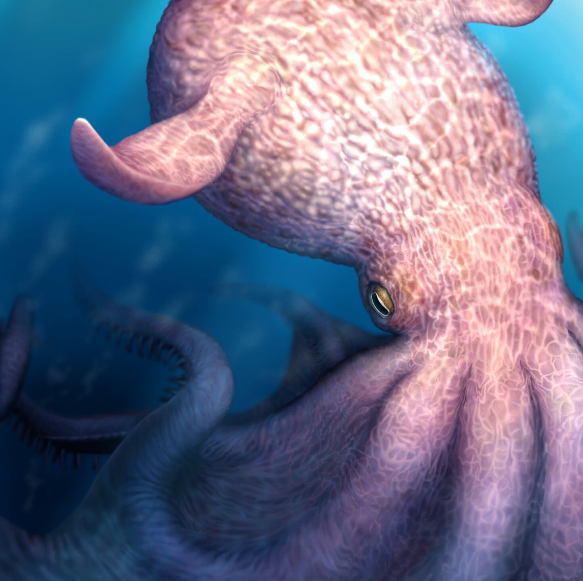 Giant octopuses may have ruled the oceans 100 million years ago - Phys.org