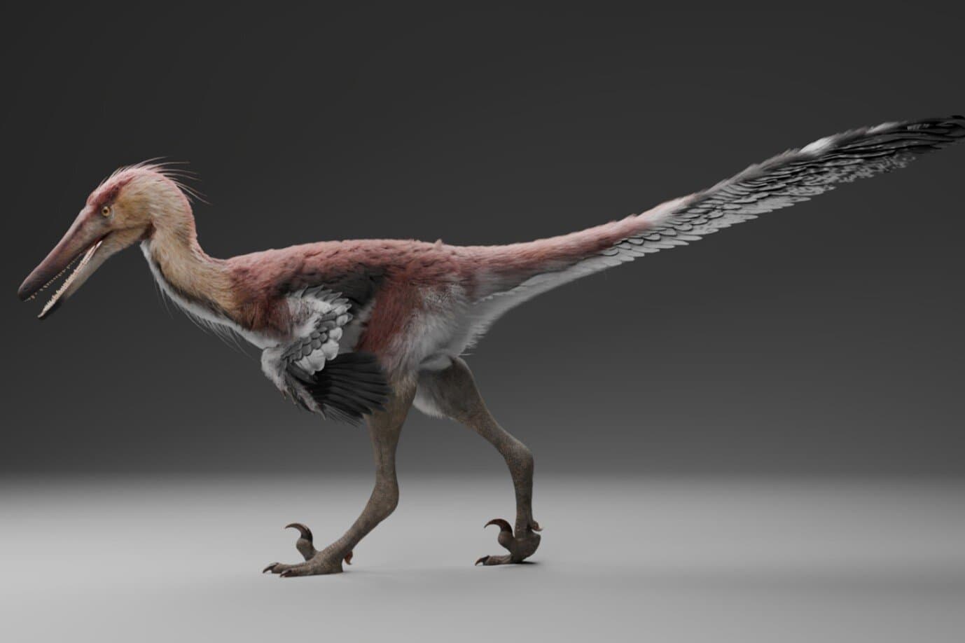 Heron-like, fish-eating dinosaur from 70 million years ago discovered in Argentina - Phys.org