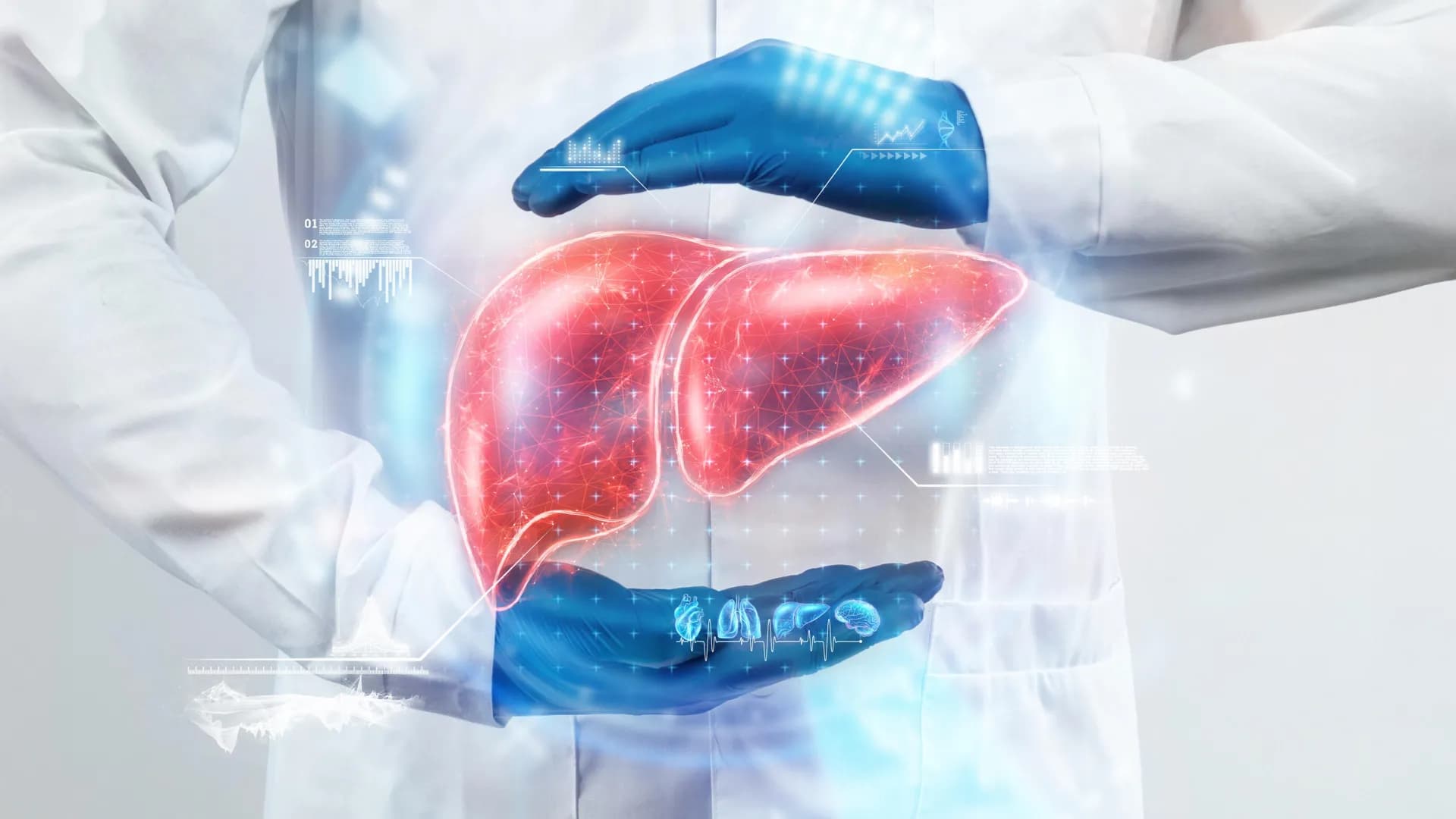 Two common drugs may reverse fatty liver disease, study finds - ScienceDaily