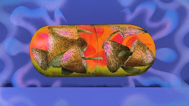 Magic mushrooms could help people quit smoking - BBC