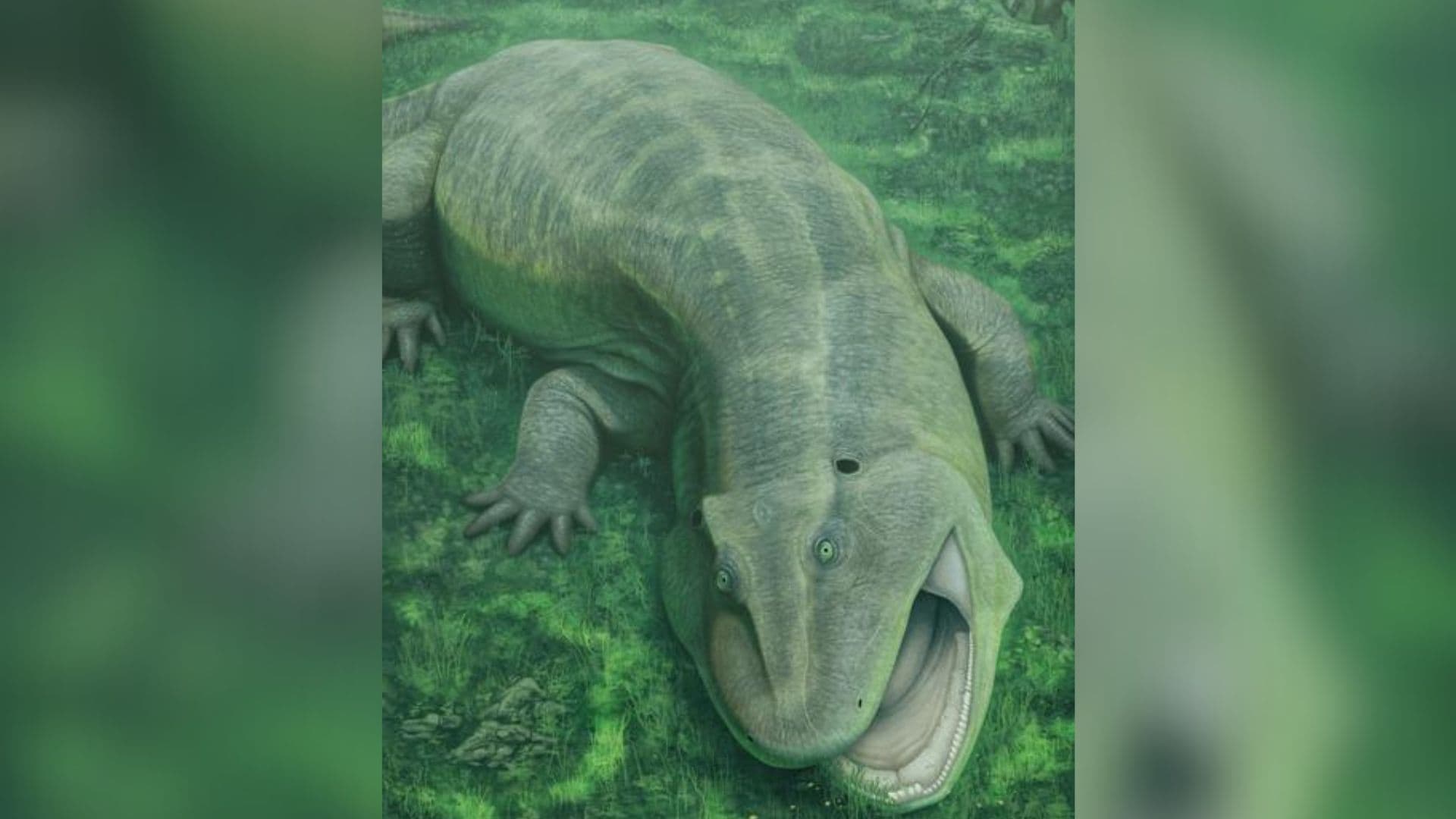 Prehistoric water-dwelling weirdo with sideways teeth and a twisted jaw was already a 'living fossil' 275 million years ago - Live Science