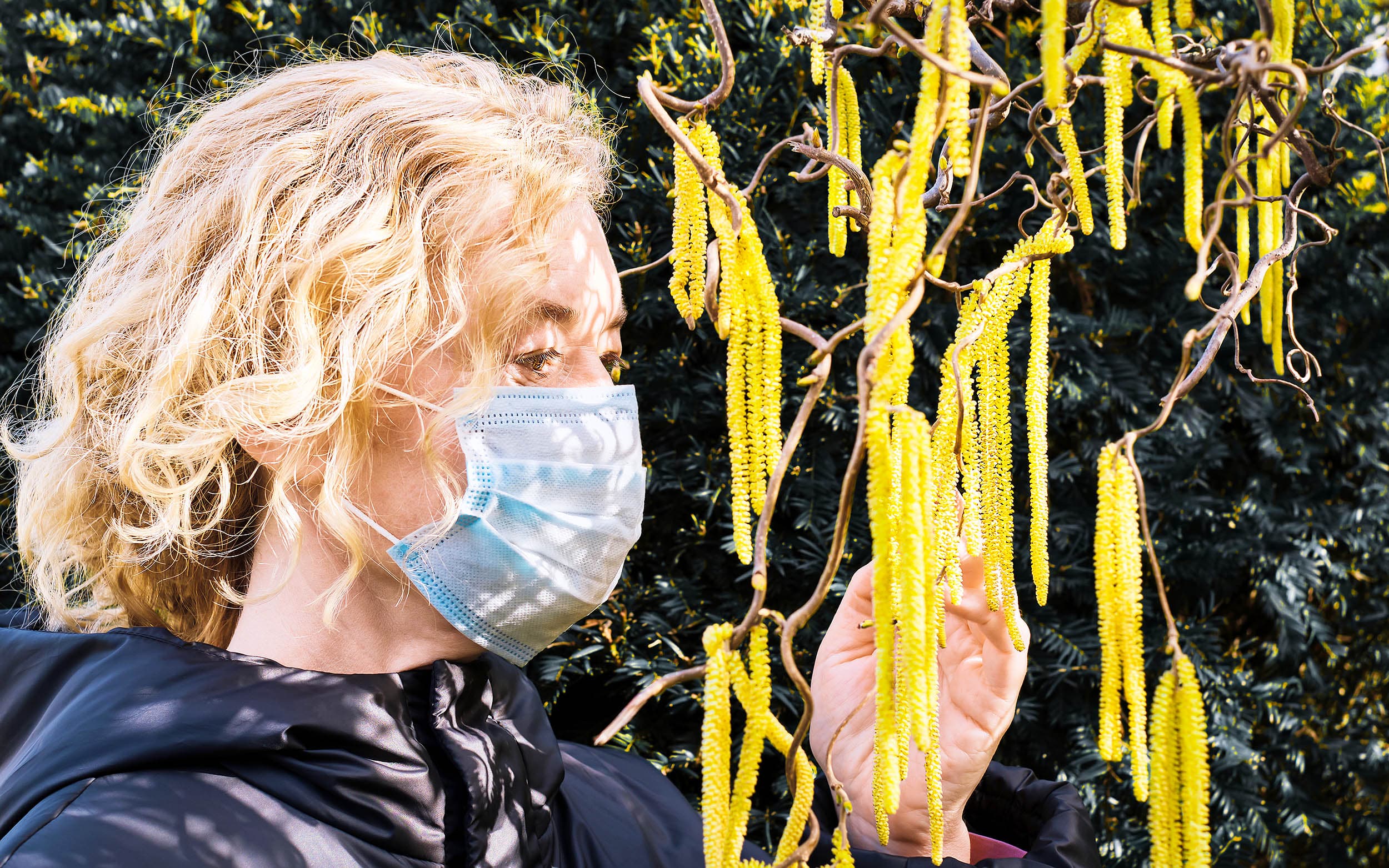Pollen allergy season is here and getting longer every year, but not because of climate change - earth.com