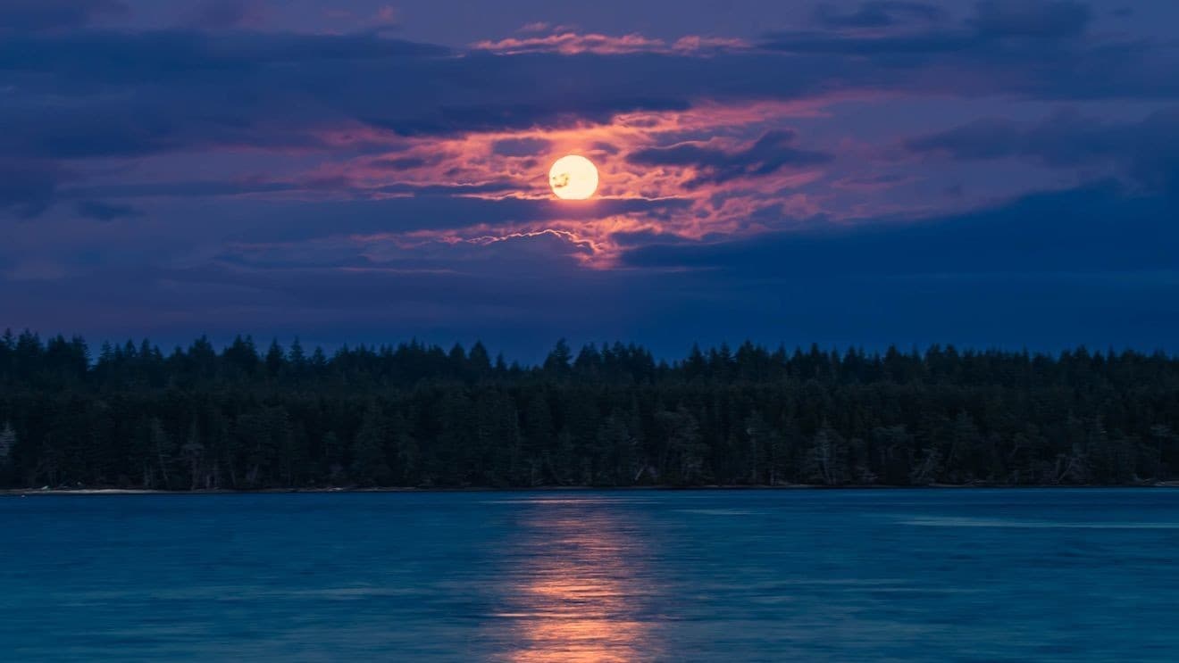 Saturday’s micromoon will be the farthest, smallest and dimmest of the year : NASA - KOMO