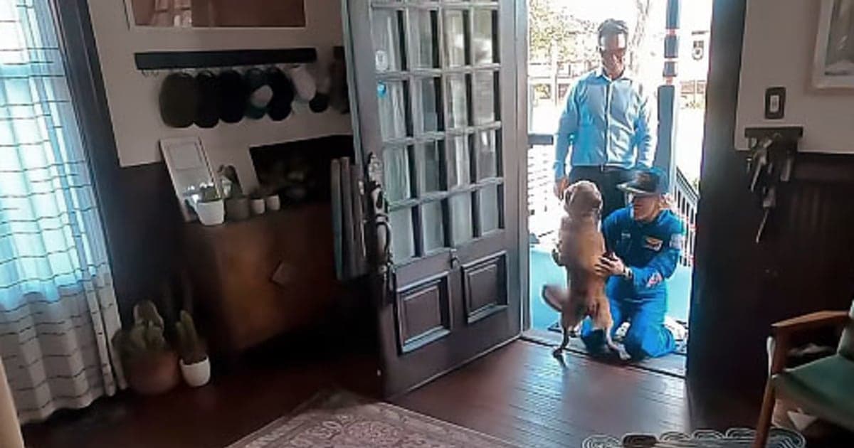 Heartwarming video shows Artemis II astronaut Christina Koch reuniting with her dog - NBC News