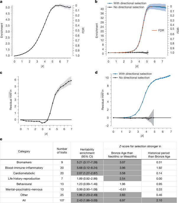 Ancient DNA reveals pervasive directional selection across West Eurasia - Nature